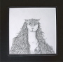 Katzenfrau